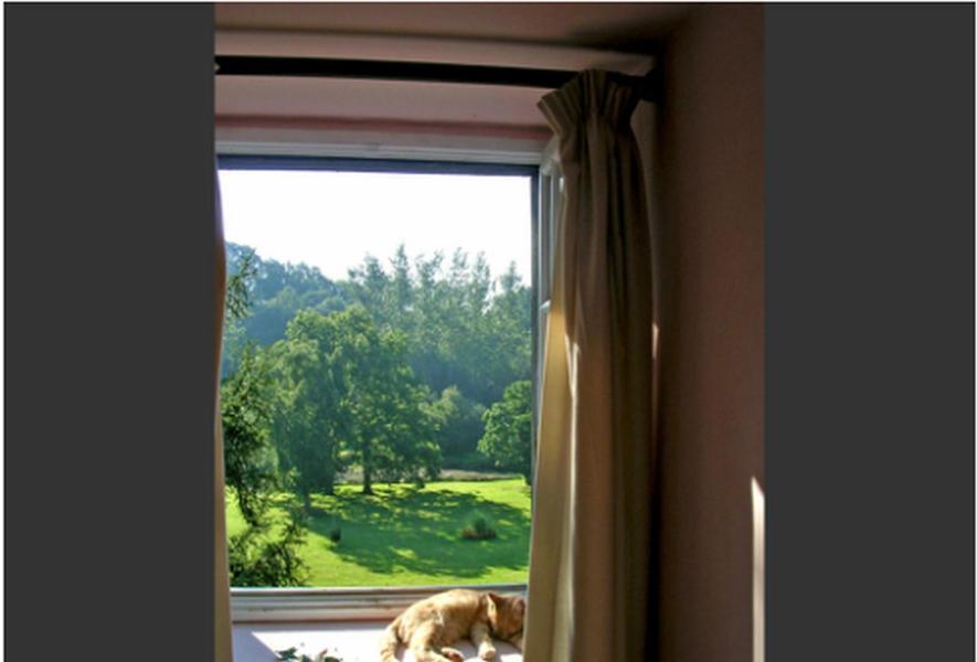 Livaie Chambres D'Hotes La Baudriere الغرفة الصورة